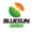 Shingled Solar Module